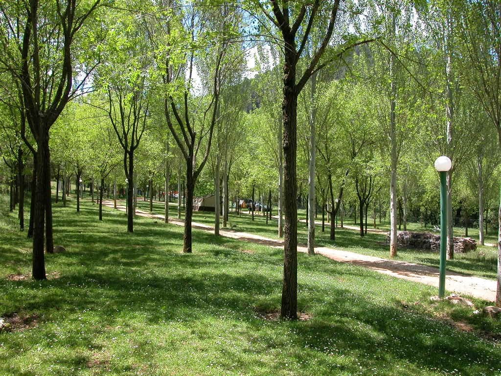 fotos puente 2008 046 1024x768